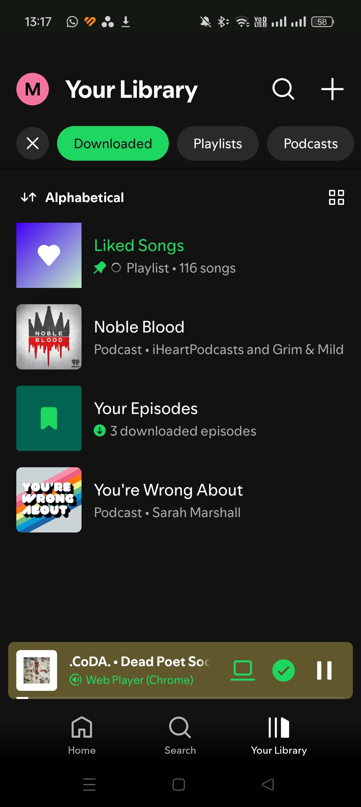 فایل صوتی دانلود شده در کتابخانه Spotify
