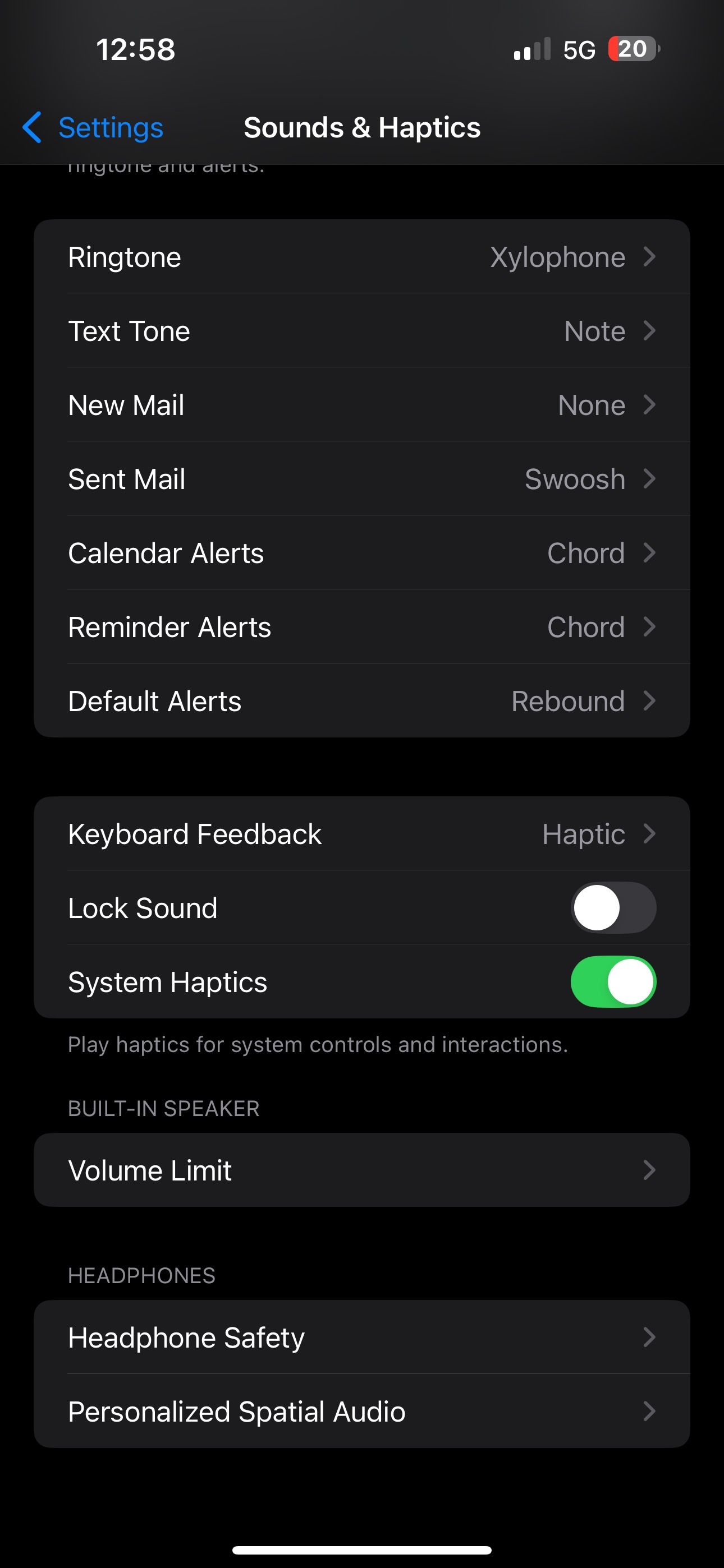 صفحه Sounds & Haptics در برنامه تنظیمات آیفون.