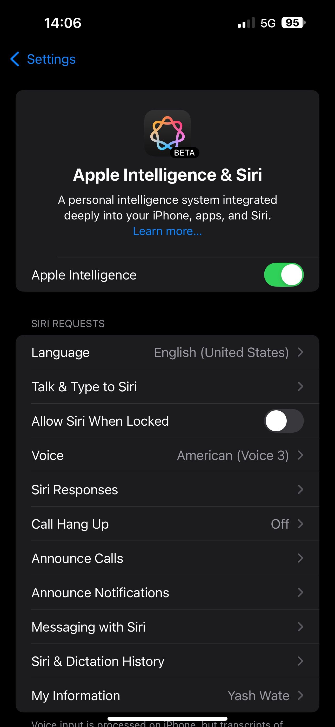 صفحه Apple Intelligence & Siri در برنامه تنظیمات iOS.