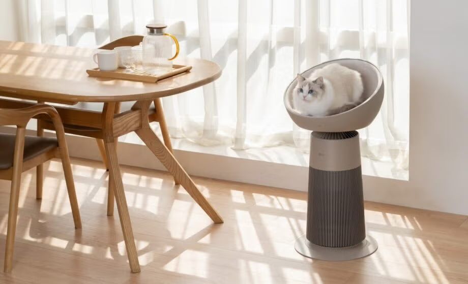 برج LG AeroCat با گربه.