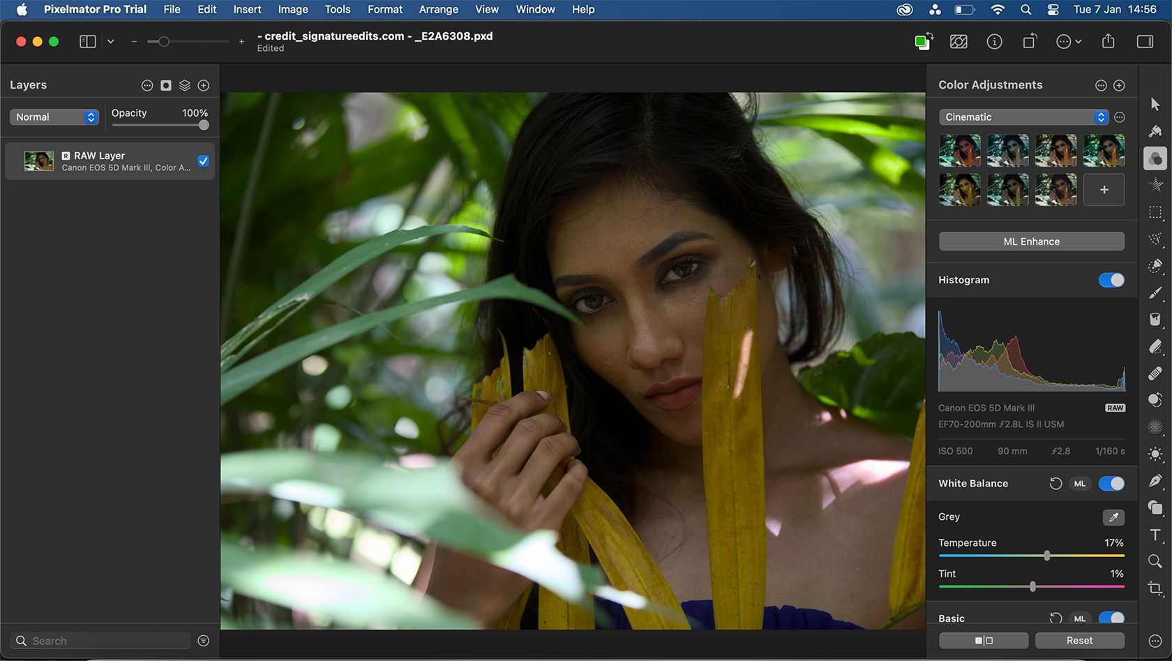 ویرایش عکس Pixelmator Pro RAW