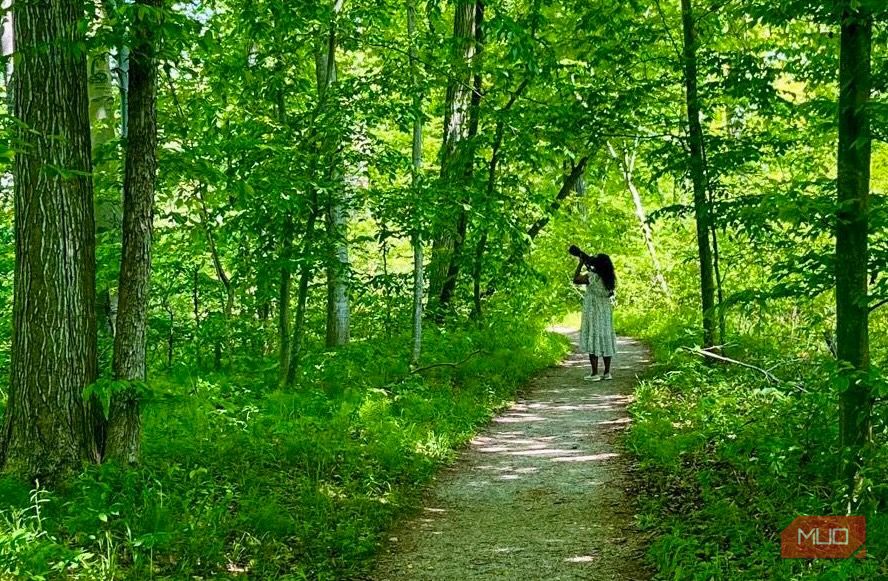مسیر-عکاسی