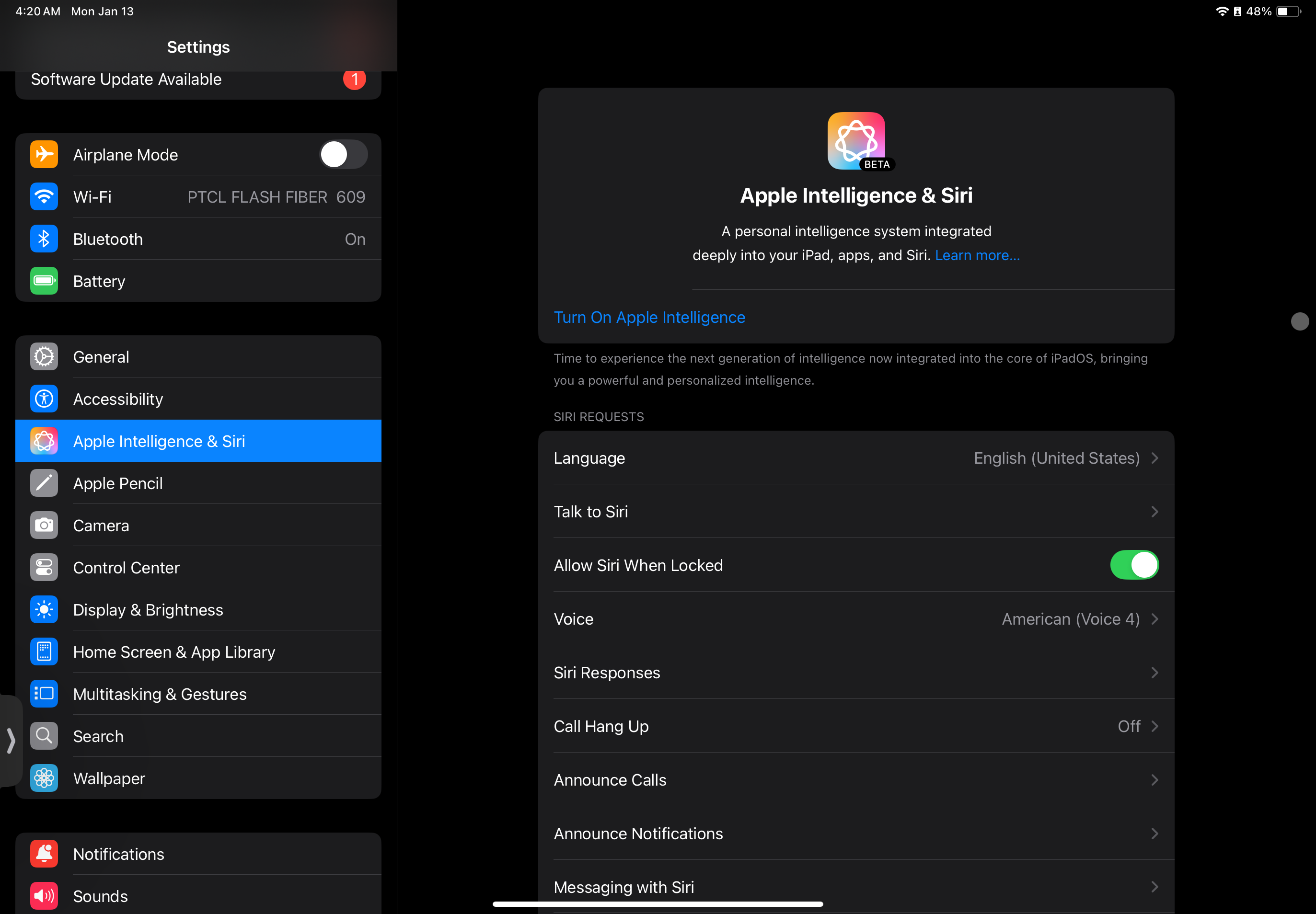 تنظیمات اطلاعاتی اپل و سیری در iPad