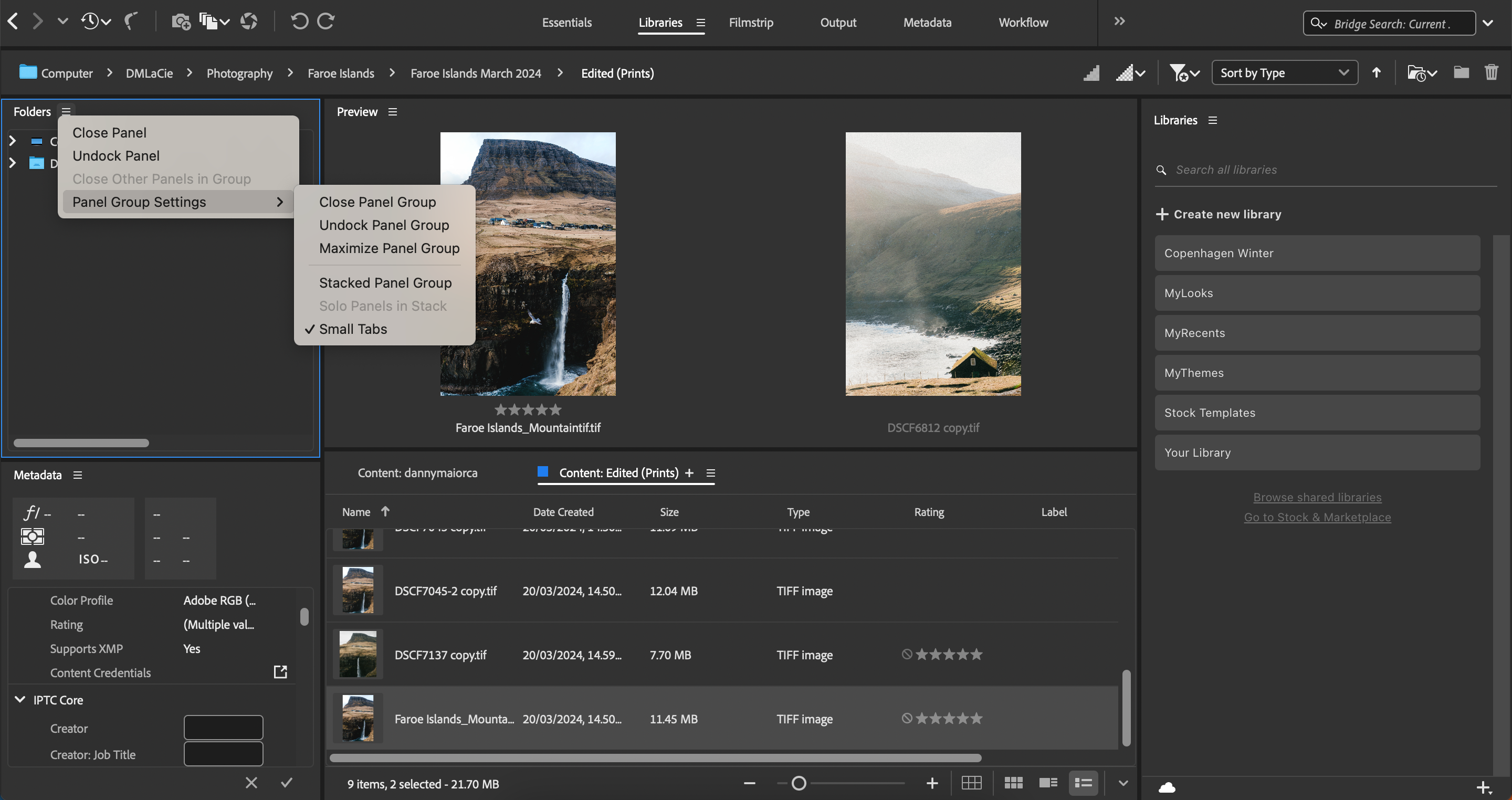 تنظیمات ویرایش پانل ها در Bridge Adobe