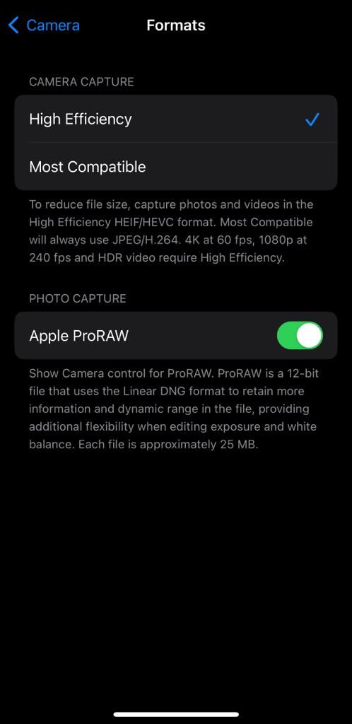 تنظیم آیفون Apple Proraw