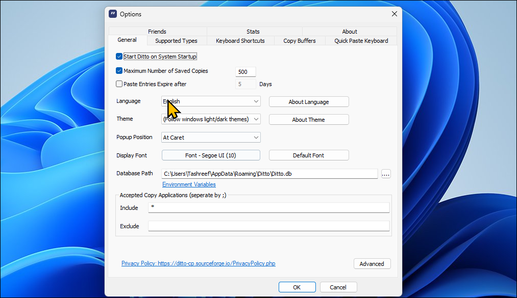 گفتگوی گزینه Ditto Clipboard Manager در ویندوز 11