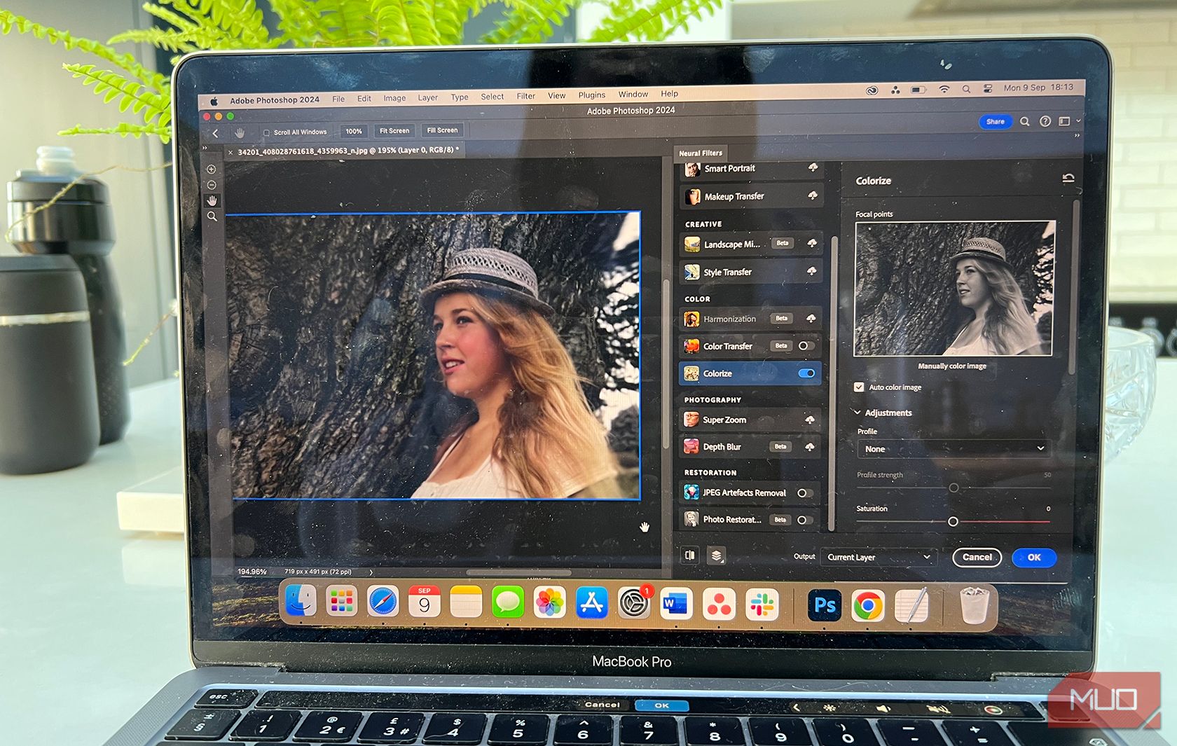 Photoshop ai Colorize