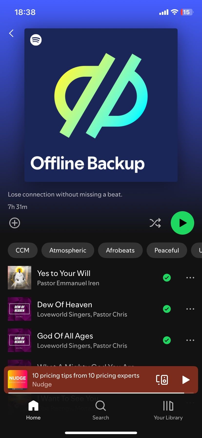 آهنگ های پشتیبان آفلاین در Spotify