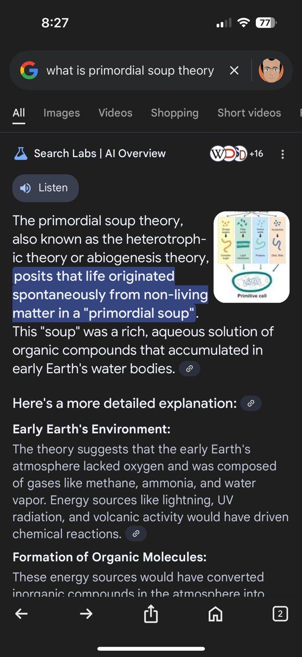 نمای کلی AI APP Google