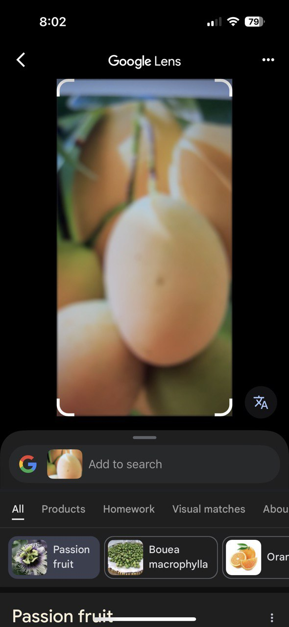 استفاده از لنز Google در برنامه Google برای iOS