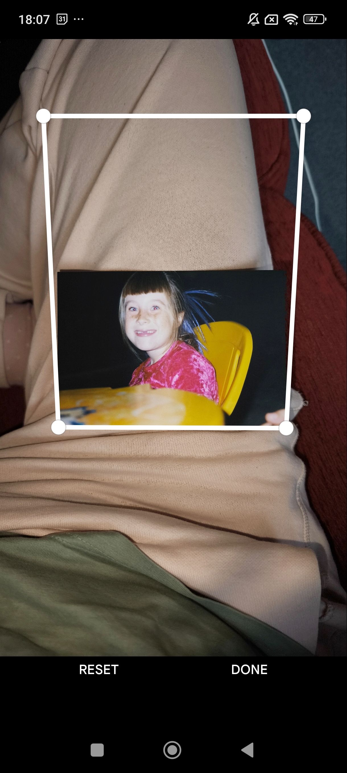 محصول Google PhotoScan