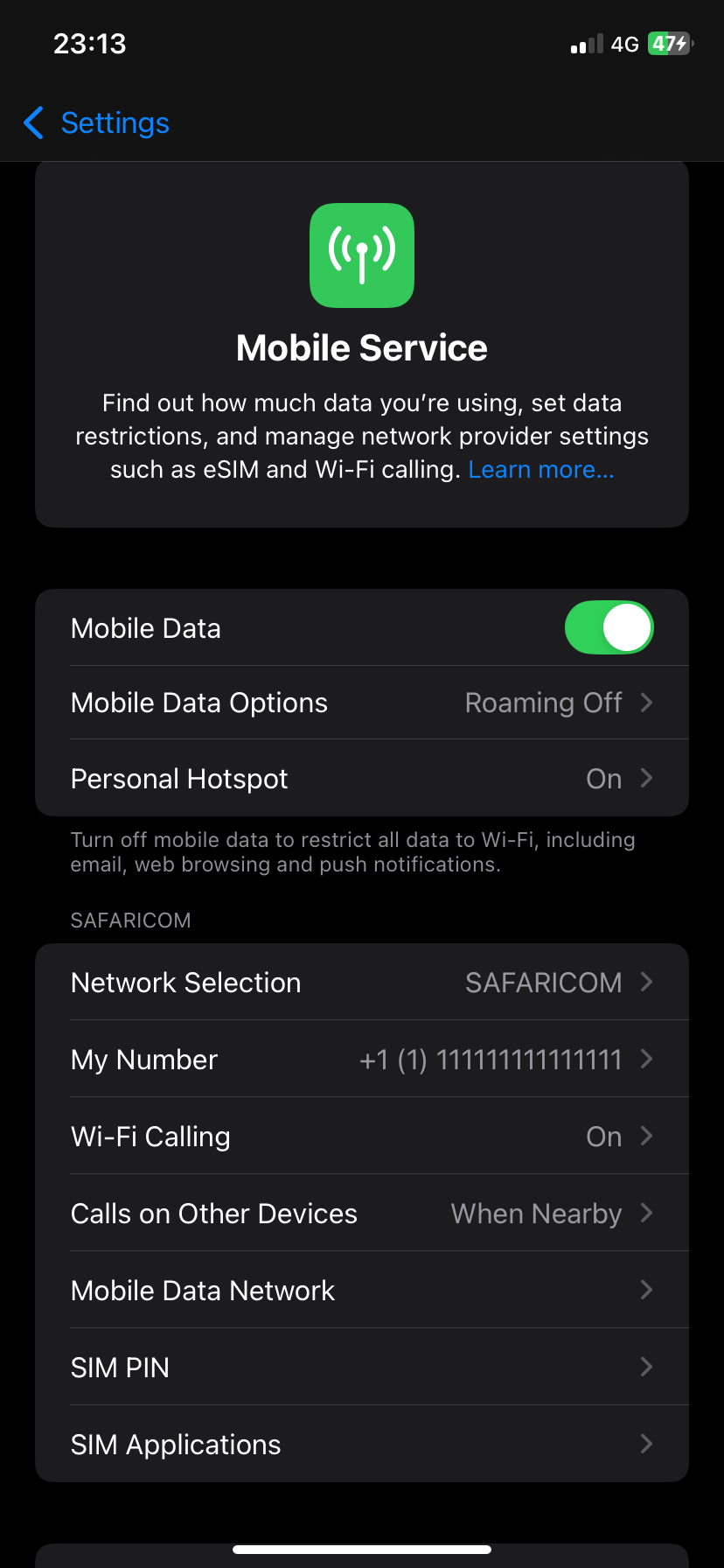 صفحه گزینه های داده های تلفن همراه در برنامه تنظیمات iOS