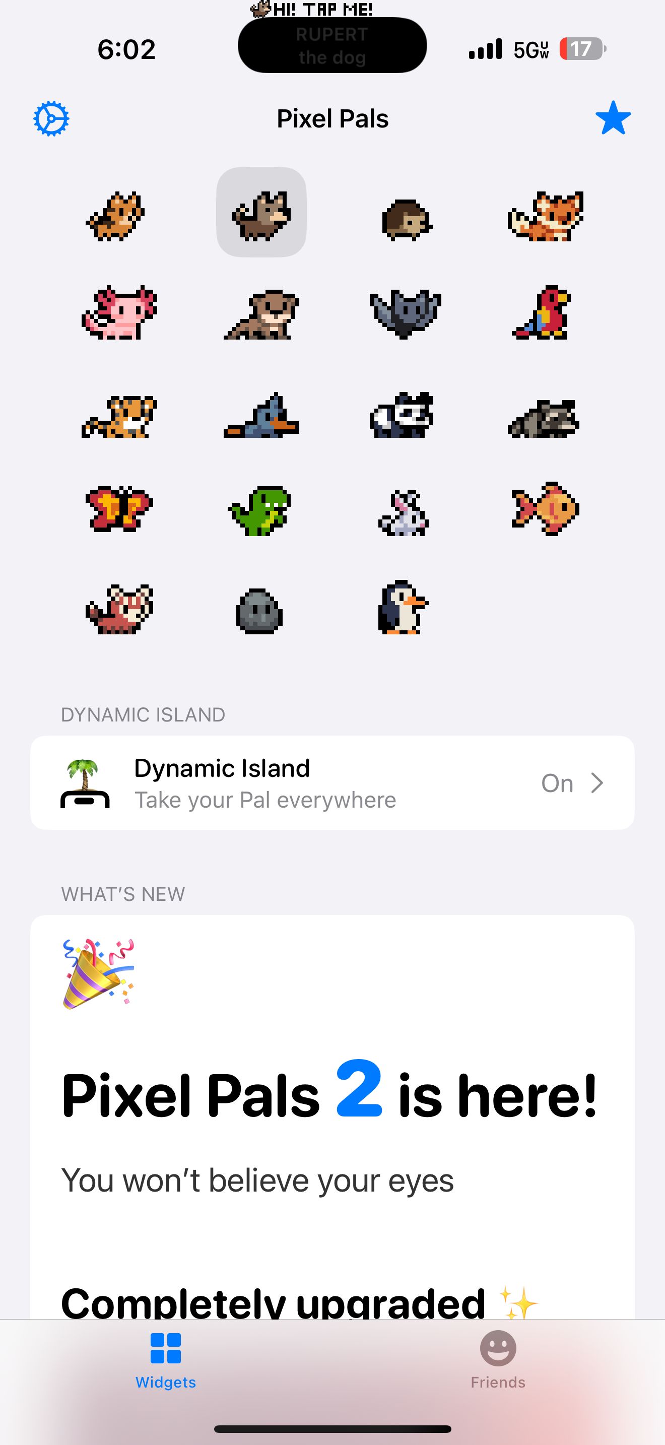 Pixel Pals یک حیوان خانگی را انتخاب می کند.