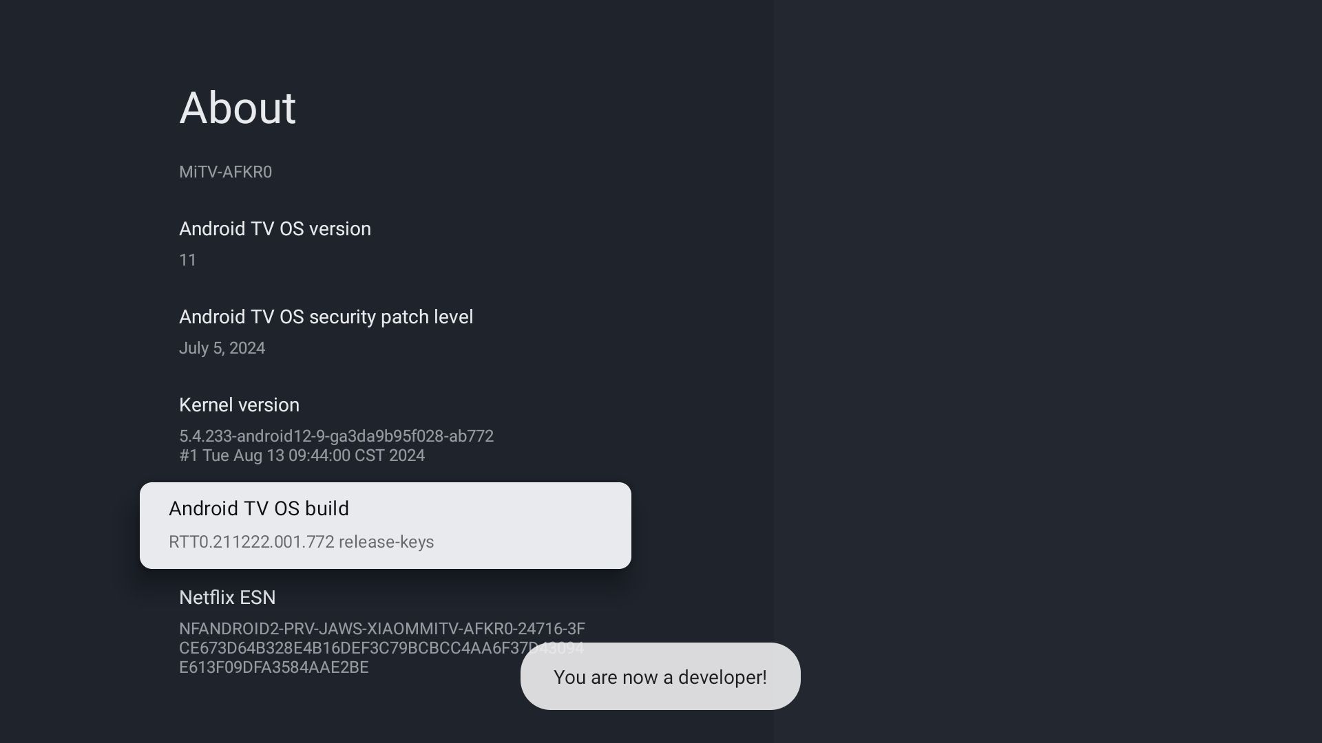 درباره صفحه تنظیمات در Google TV
