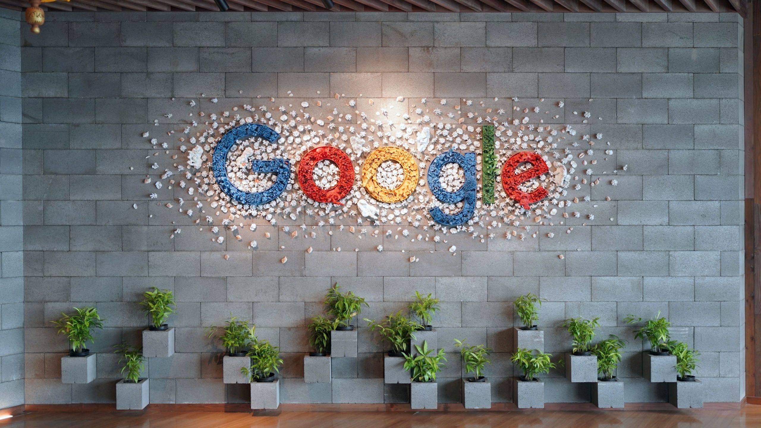 آرم Google بر روی دیوار اداری با گیاهان