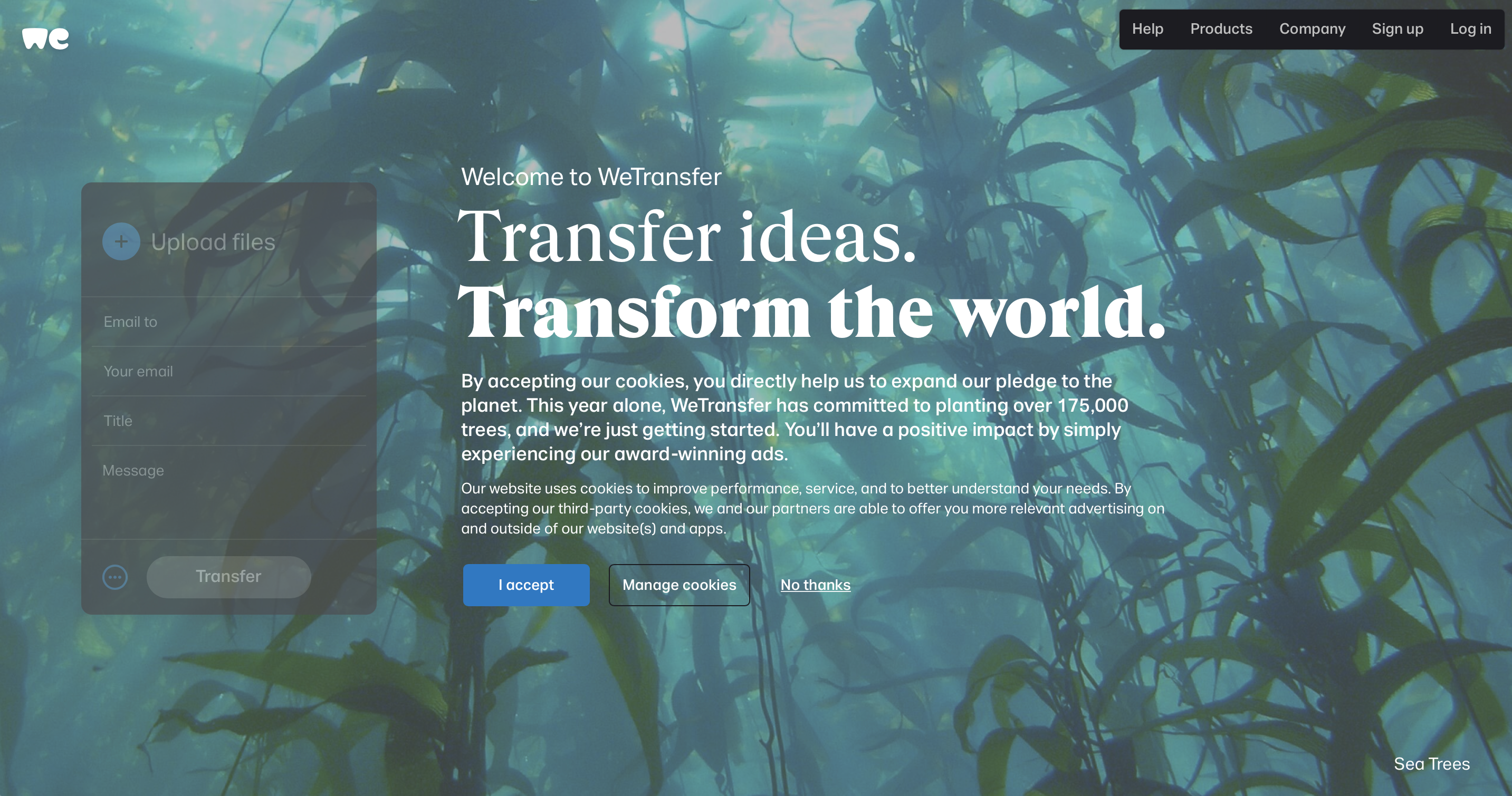 تصویر Wetransfer