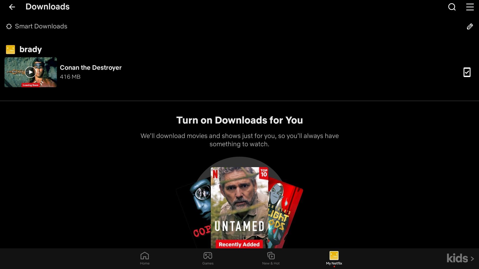 لیستی از محتوای بارگیری شده در صفحه بارگیری Netflix