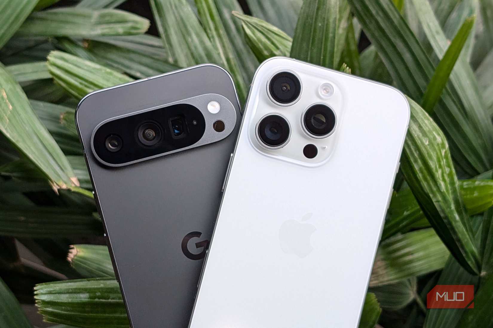 Pixel 9 Pro و iPhone 16 Pro در مقابل گیاه