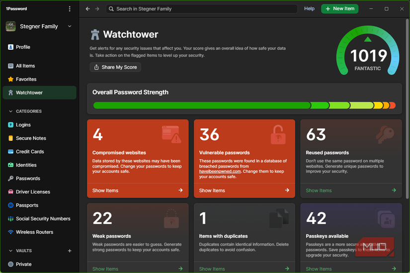 07 1Password Watchtower Security