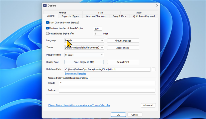 گفتگوی گزینه Ditto Clipboard Manager در ویندوز 11