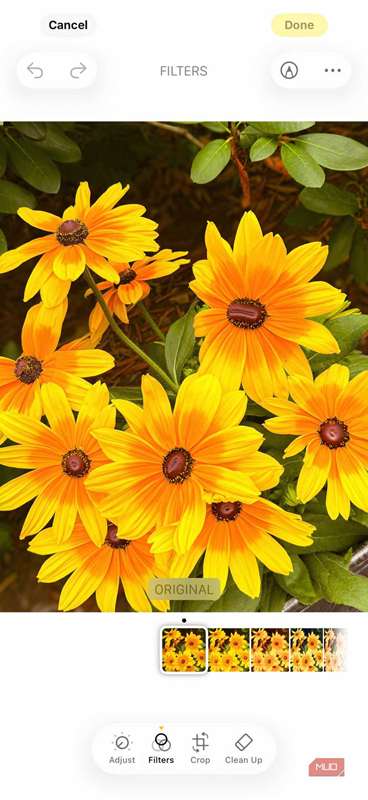 برنامه iOS 26 عکس که گزینه های ویرایش را نشان می دهد