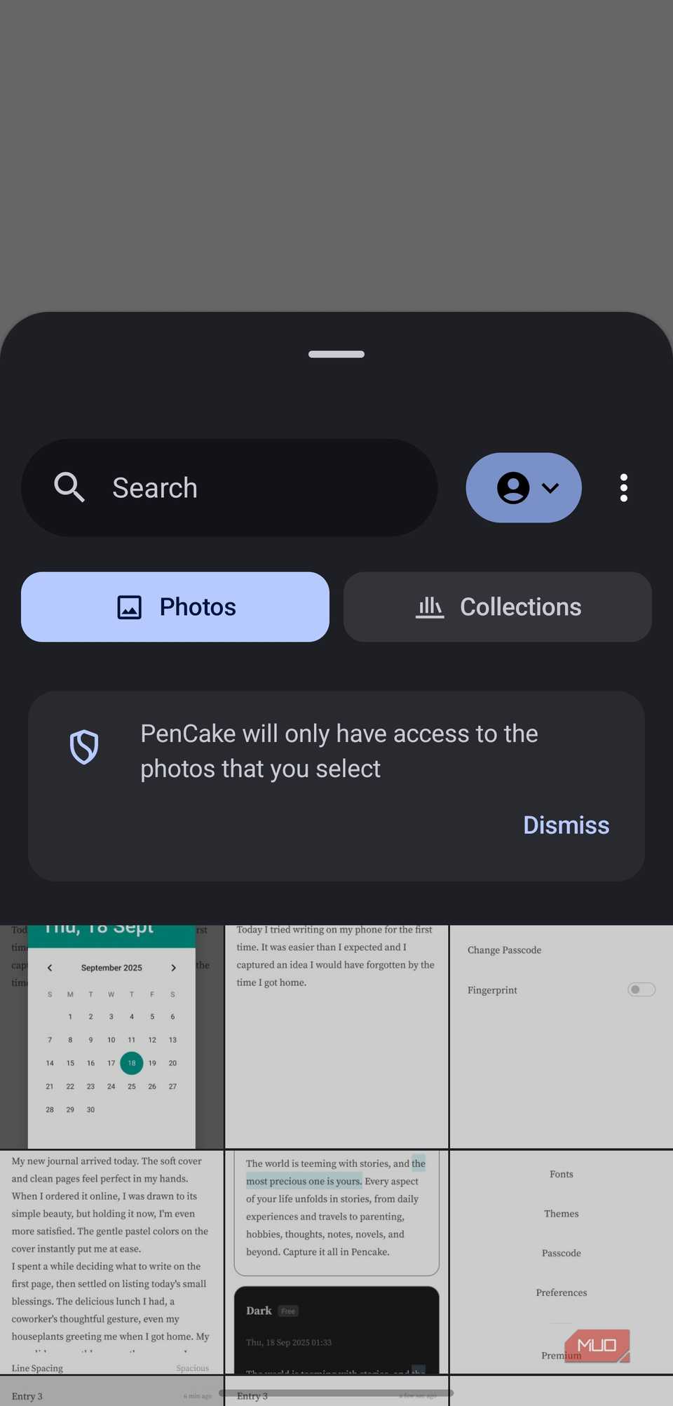 صفحه اجازه دسترسی به عکس Pencake