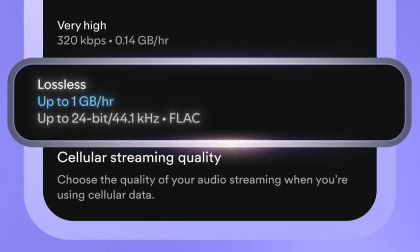 Spotify صدای بدون ضرر را در برنامه فعال کنید.