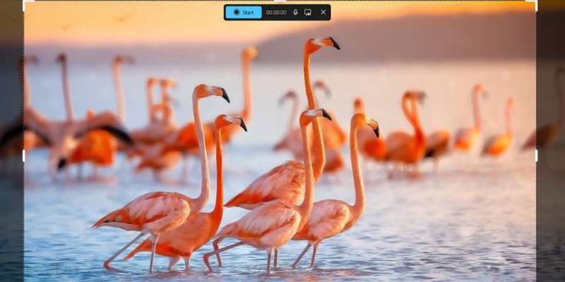 منوی ویژگی ضبط صفحه ابزار Snipping در ویندوز 11