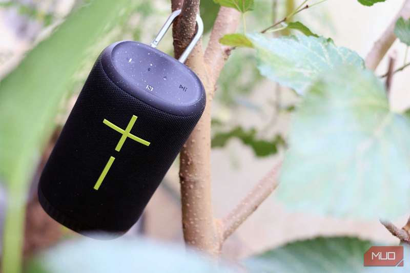 Ultimate Ears Everboom روی شاخه.