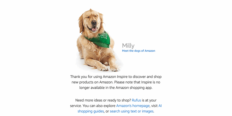 صفحهی تغییر مسیر با سگی خندان که توسط آمازون هنگام جستجو برای پلتفرم «Inspire» نمایش داده میشود