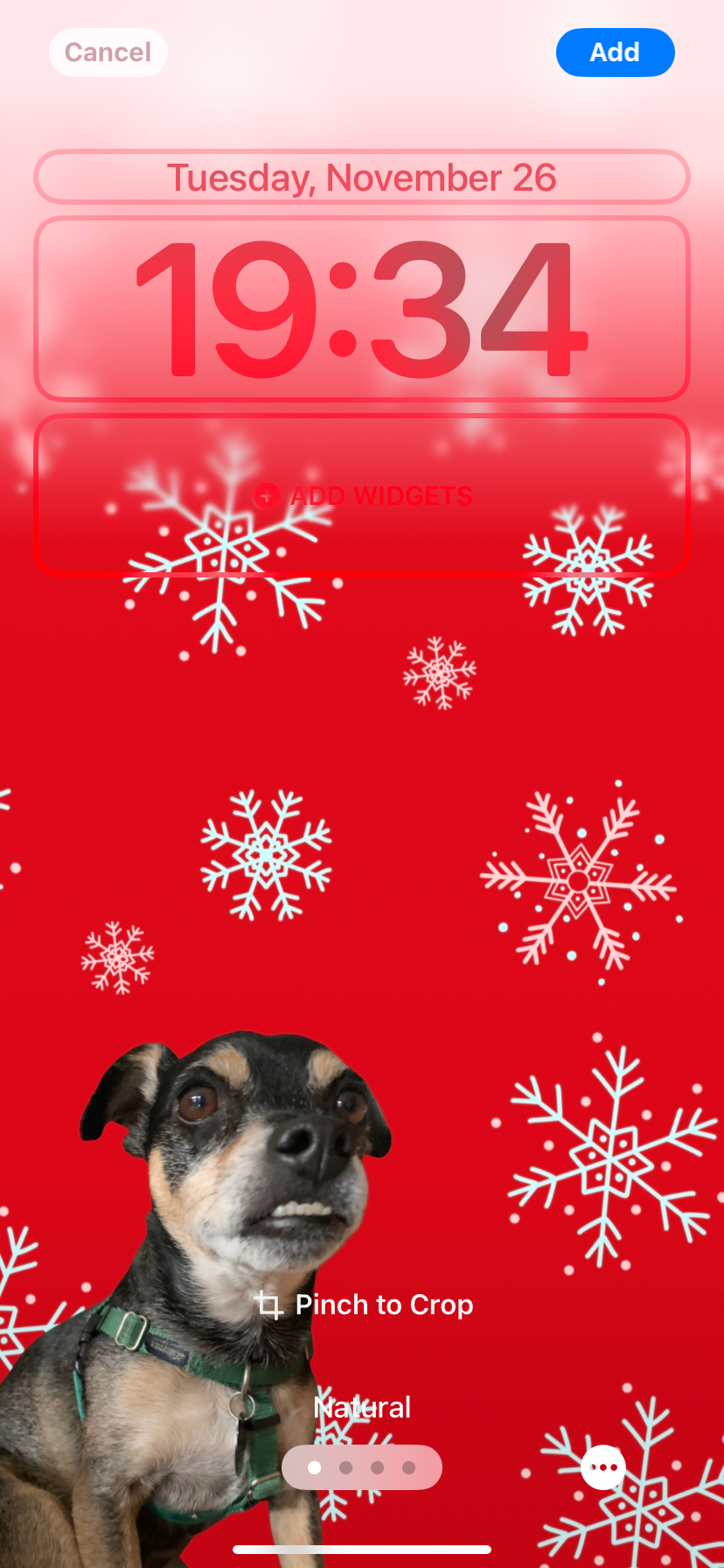 طراحی برفی قرمز با برچسب سفارشی سگ به‌عنوان صفحهٔ قفل iOS