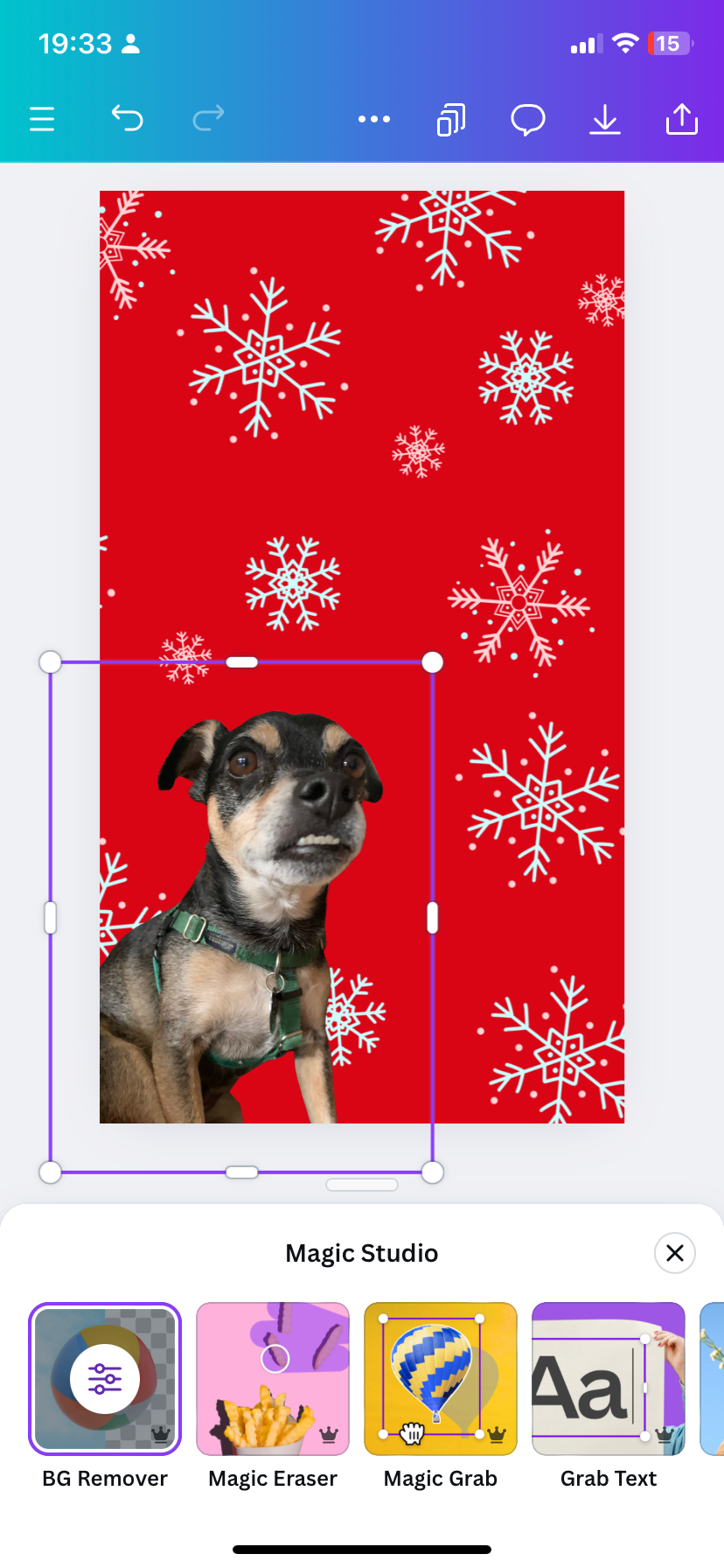 الگؤ برفی قرمز Canva با تصویر سگ