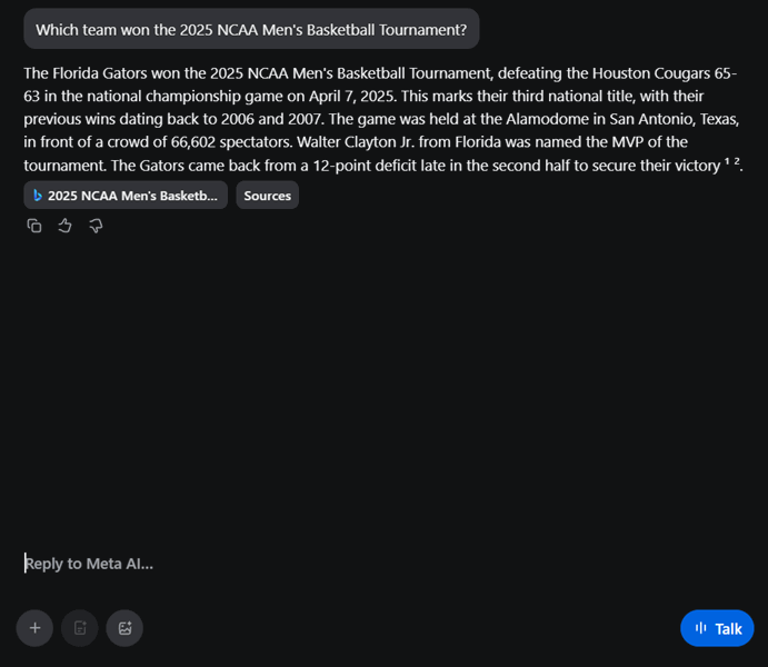 یک تصویر صفحه نمایش از پاسخی که توسط Meta AI به یک پرامپت عمومی ارائه شده است