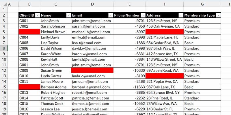 فهرست مشتریان در اکسل با سلول‌های خالی برجسته شده