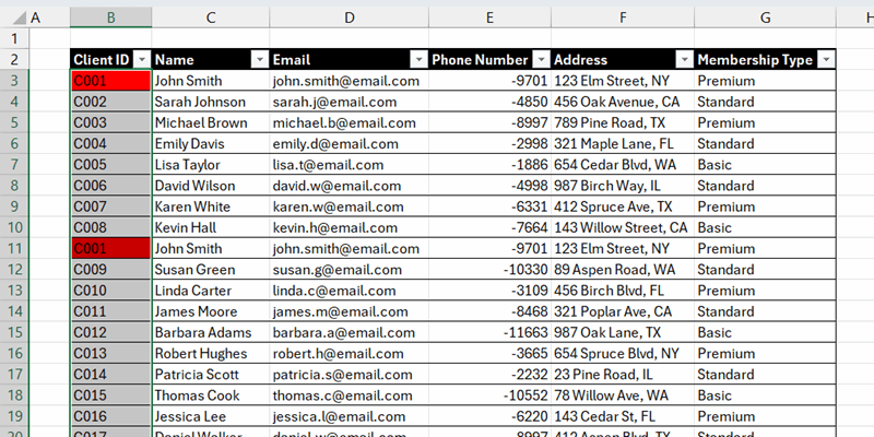 فهرست مشتریان در اکسل با موارد تکراری برجسته