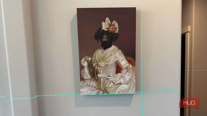 سطح لیزر سبز به نقاشی انسان سگ اشاره کرد