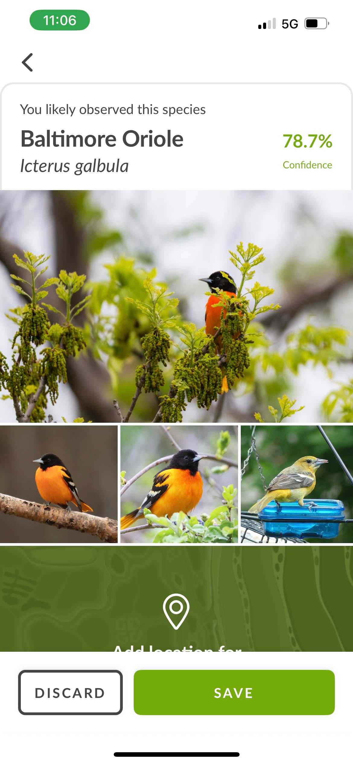 آینچورالست-1