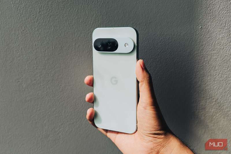 پیکسل 9 در وینترگرین در برابر نور خورشید