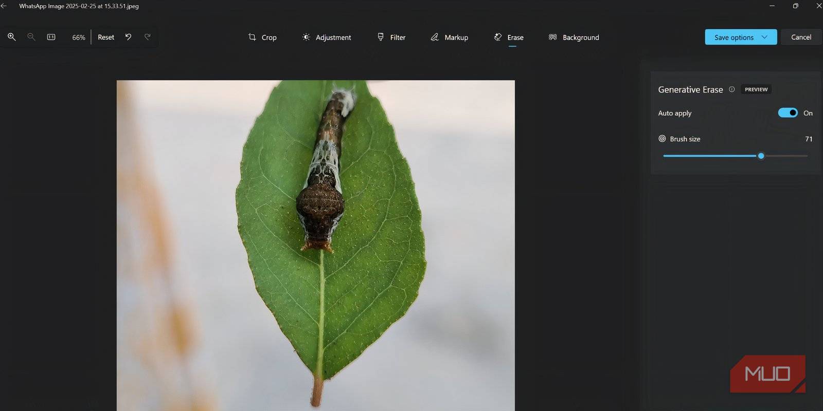 صفحهٔ ویرایش برنامه Photos تست Generative Erase روی تصویر برگ با یک حشره
