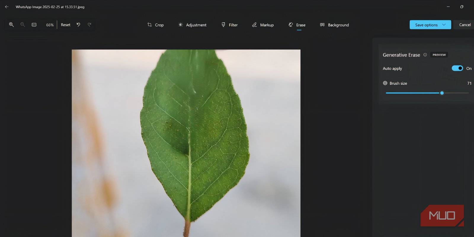 نتایج تست Generative Erase در صفحهٔ ویرایش برنامه Photos