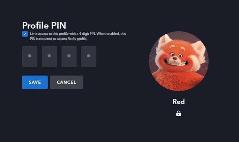 PIN پروفایل دیزنی پلاس