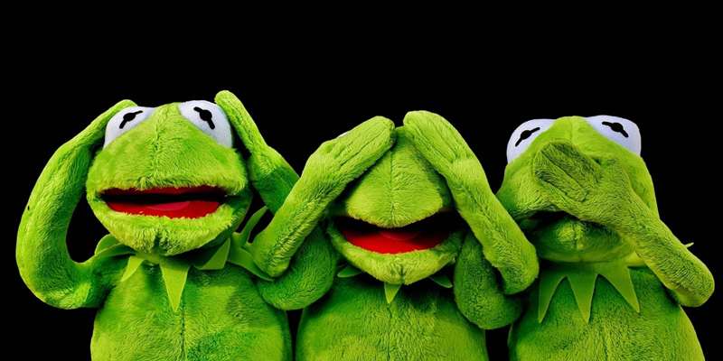 میم «کرمت نمیتواند ببیند، بشنود یا صحبت کند»