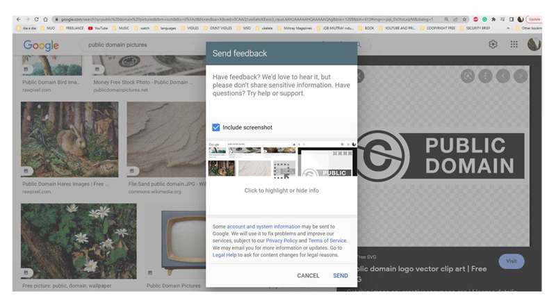 نتیجه گزارش در تصاویر Google با استفاده از لوگوی «دامنه عمومی» به عنوان مثال ۲