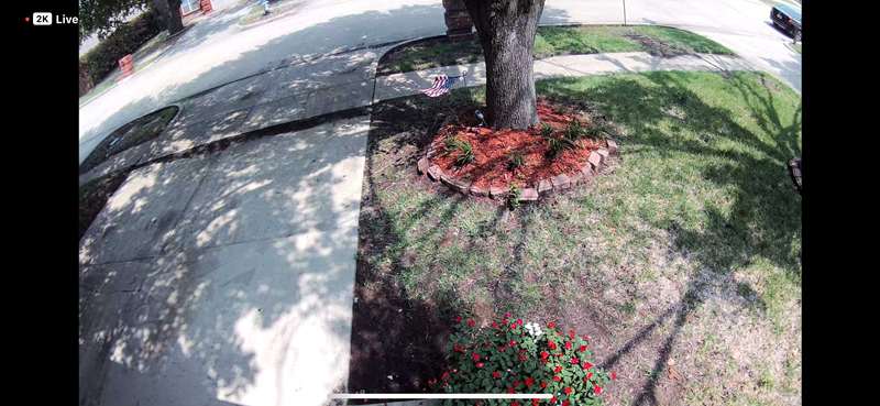 نمای زنده دوربین بیرونی ارلو اسنسال ایکس‌ال