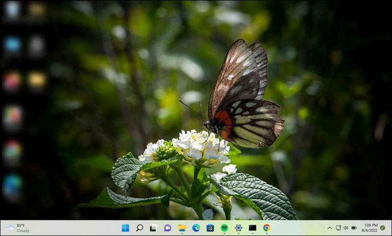 تم باغ گیاهان