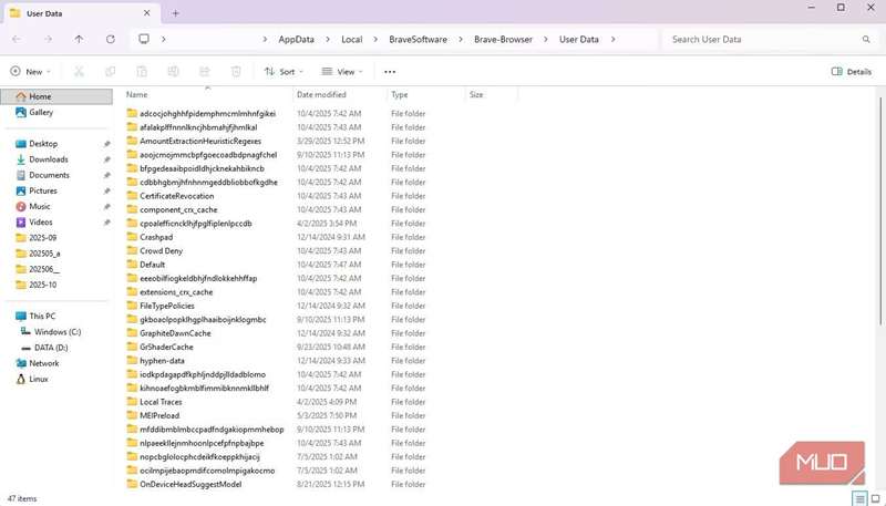 پوشهٔ نمایه کاربر Brave در ویندوز