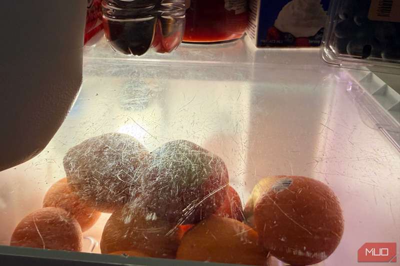 نمای نزدیک قفسه‌های کثیف داخل یخچال