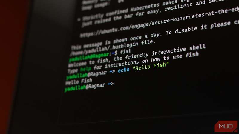 شل Fish که در Windows Terminal اجرا می‌شود.