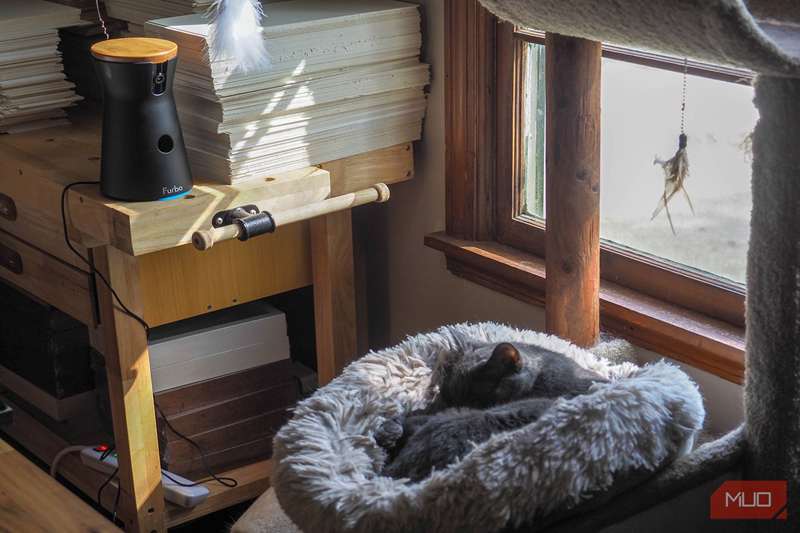 نظارت دوربین Furbo 360° در کنار درخت گربه