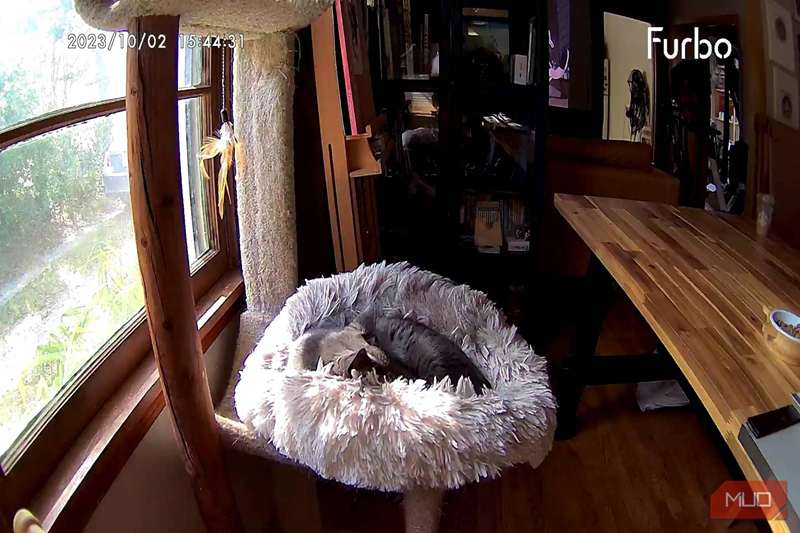 نمونهٔ عکس دوربین Furbo 360°